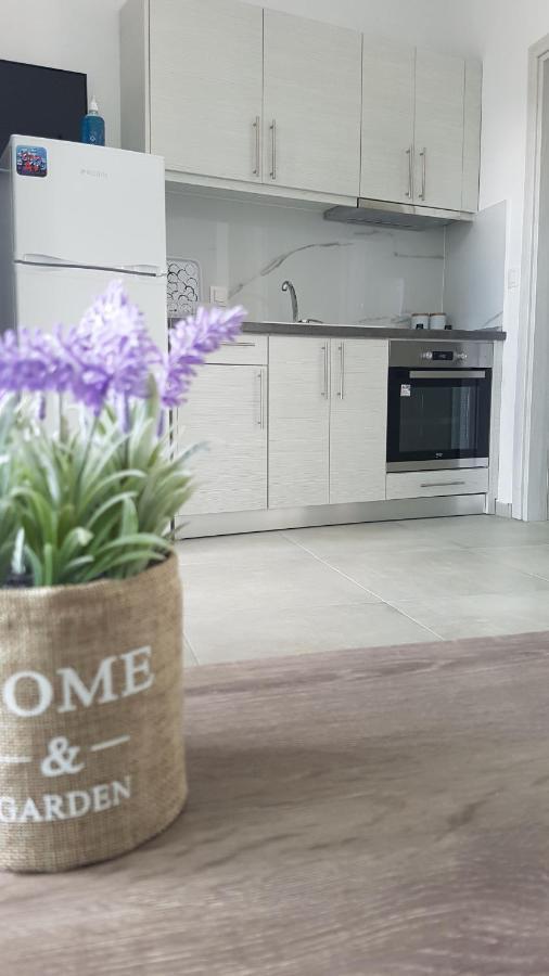 Erika Boutique Apartments Nikiti  Zewnętrze zdjęcie